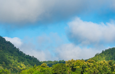   blue sky and mountain in background.