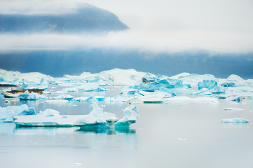 Fototapeta na wymiar Icebergs in Saqqaq village, western Greenland
