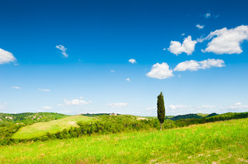 Green fields and the blue sky in Tuscany, Italy