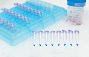 Researcher prepares PCR reaction mixture on Ice. 