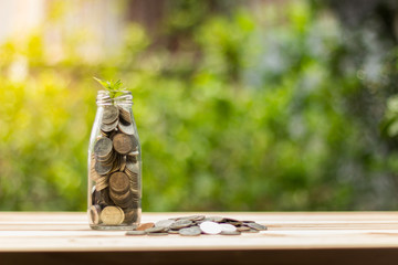 Saving money for a stable future has a coin placed on a wooden desk and a coin is kept in a glass jar and there are trees growing at the bottom of the jar.