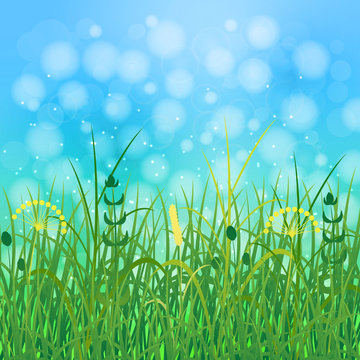 Concept Summer. Sky, blur, field grass