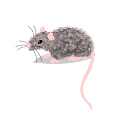 mouse grey isolated on white background vector illustration