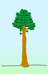 sequoia tree flat isolated on blue green background  vector illustration
