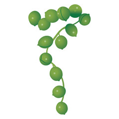 グリーンネックレス