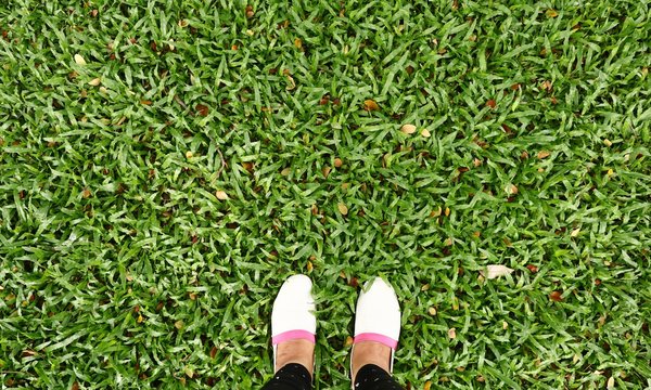 white shoes on green grass