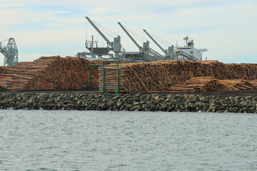 Fototapeta premium PORTLAND, AUSTRALIA - June 28, 2016: Logs stacked in rows at the port of Portland, waiting to be loaded and exported