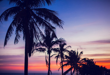 Obraz na płótnie Canvas Palm trees sunset golden red blue sky backlight