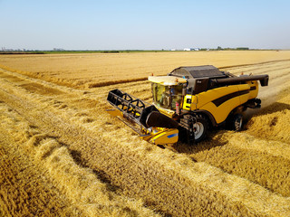 Obraz premium Side view of combine harvester machine while working in the wheat field on a sunny day.