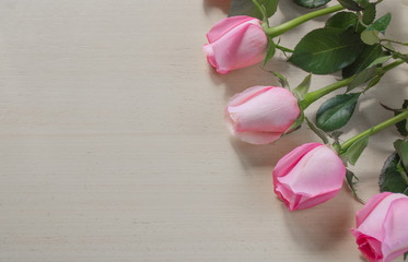 Pink rose flowers on the wooden background