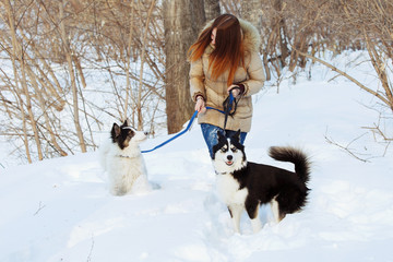 A girl with long red hair plays with a Yakut husky in a snow park.