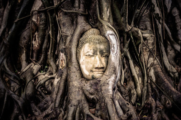 Buddha head in tree roots, Ayutthaya