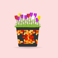 A pot of flowers. Vector illustration