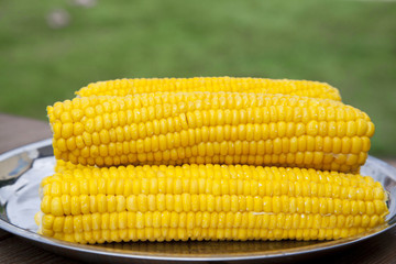 Kachany corn on a tray. Boiled sweet grains