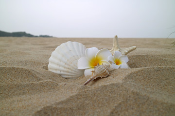 Beautiful summer beach landscape