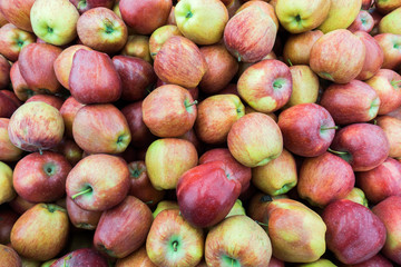 Apples on the farm market