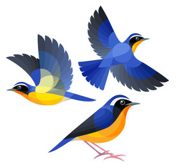 Stylized Birds - Indian Blue Robin