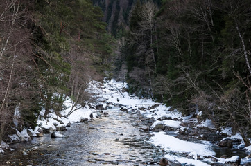 Winter landscape of a mountain river with snow along the coast. River in the Pine Forest in the Caucasus Russia