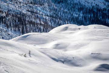 Snowy landscape in the Italian Alps