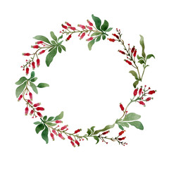 Fototapeta premium branches