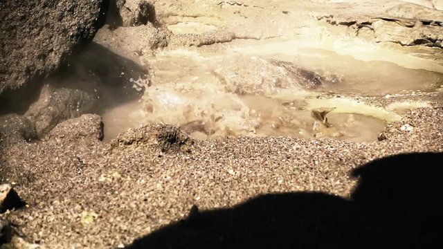Geyser on the slope of Ebeko volcano, Paramushir island, northern Kuril Islands, Sea of Okhotsk, Russia. SlowMotion