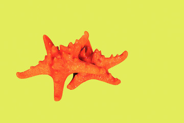 orange starfish on a yellow background, summer