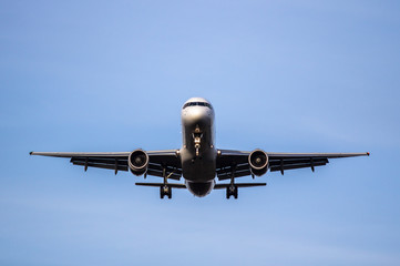 Airplane ist landing
