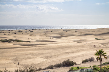Fototapeta na wymiar Maspalomas Sand Dune Desert, Grand Canaria