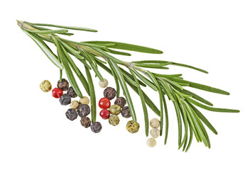 Spices on a white background - fresh rosemary and peppercorns.