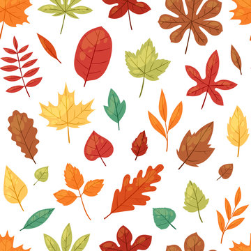 Autumn leaf vector autumnal leaves falling from fallen trees leafed oak and leafy maple or leafing foliage illustration fall of leafage set with leafage isolated seamless pattern background