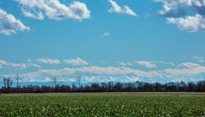 PAYSAGE AVEC LES PYRENEES