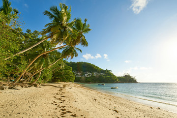 Baie Lazare Beach with coconut palm trees, seychelles