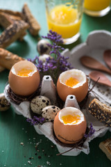 Oeufs à la Coque pour le Petit Déjeuner