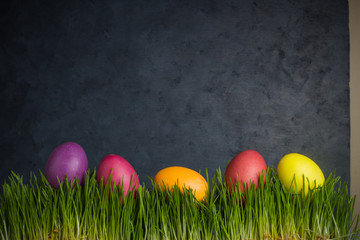 colored Easter eggs on the grass