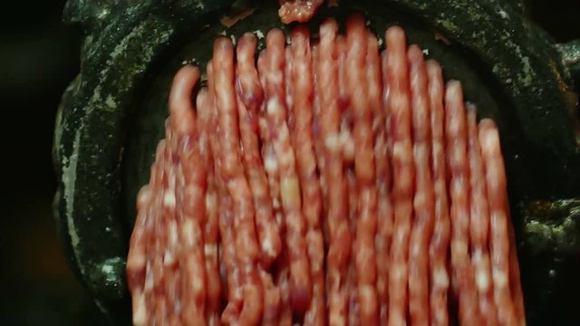 Processing of pork meat minced in a meat grinder.