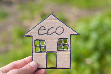 Eco friendly home concept