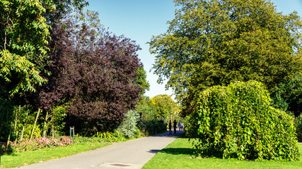Regent's Park, London