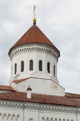 Fototapeta na wymiar Cathedral of the Theotokos in Vilnius
