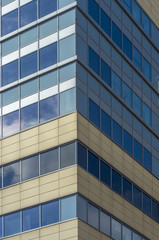 Fototapeta premium Windows of office building