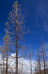 Gran Canaria, March 2018