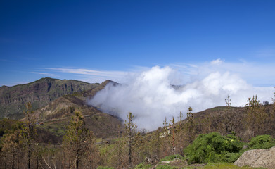 Gran Canaria, March 2018