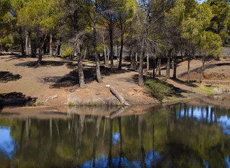 Gran Canaria, March 2018