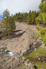 Gran Canaria, March 2018