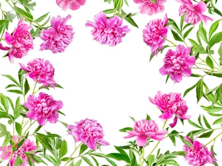 Fotobehang Tropische Bladeren Frame of many pink peonies  © epitavi