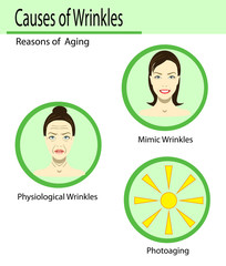 Causes of aging, vector illustration reasons of aging, types of wrinkles on the light background