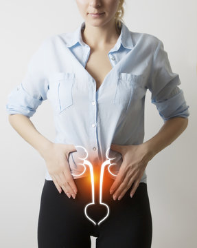 woman body with visualisation of kidneys and bladder