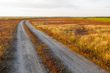 Fototapeta na wymiar Dirt road in the steppe among alkali soils surrounded by plants by red and green plants and saline at sunset