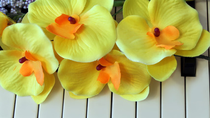 Orchid on the background of piano, romantic setting