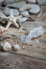 Beautiful composition of seashells