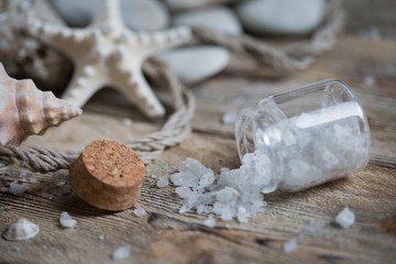 Beautiful composition of seashells